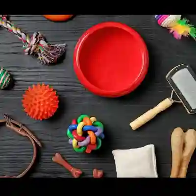 Image Alternative Text