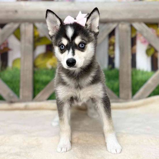 Ruby