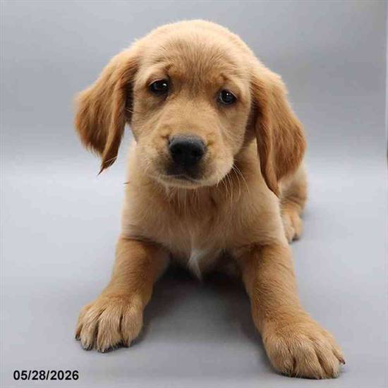 Winnie