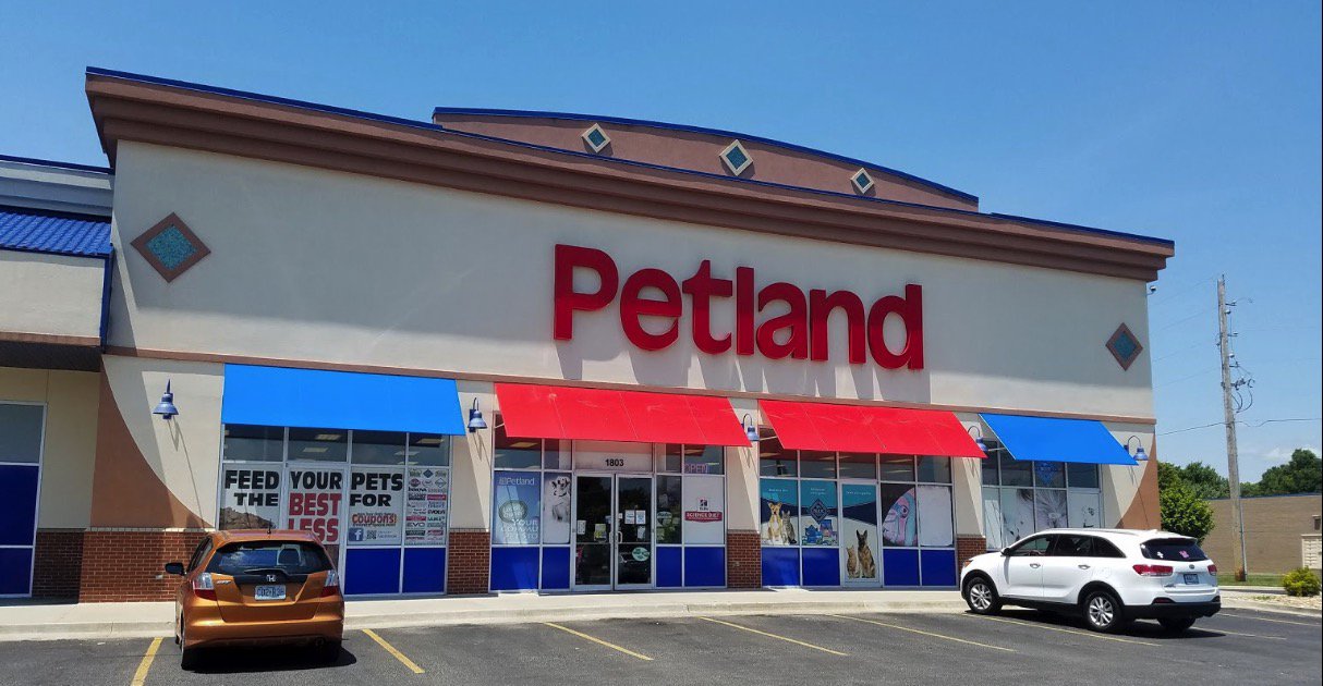 petland bluesprings contact