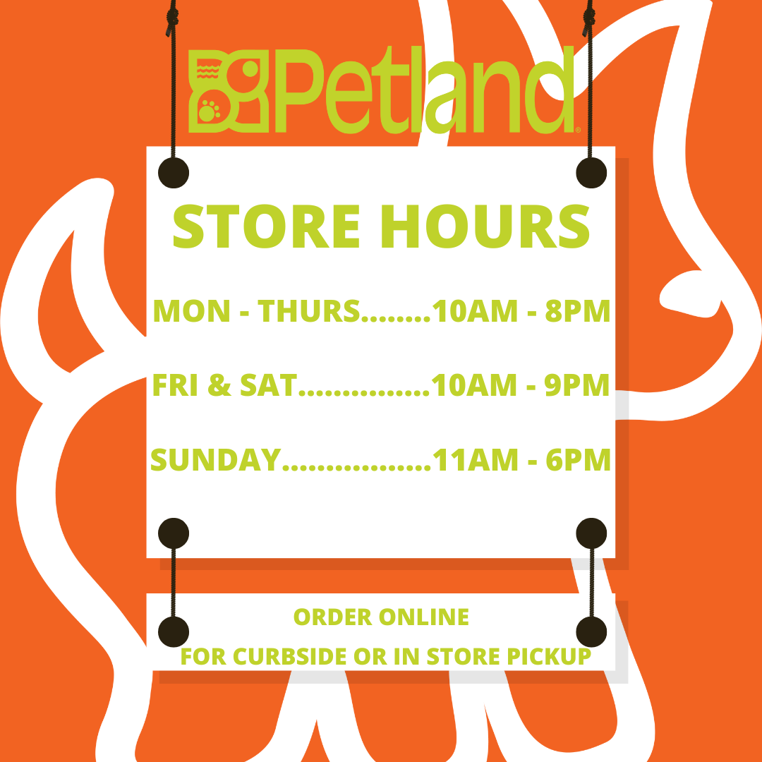 Store hours for online and curb side pickup